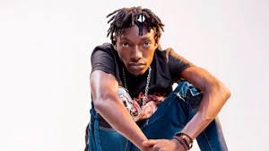 MUKUBE PAVER: ANTHEM TO VIOLENCE OR REFLECTION OF UGLY REALITY?